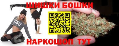 apvp Можга