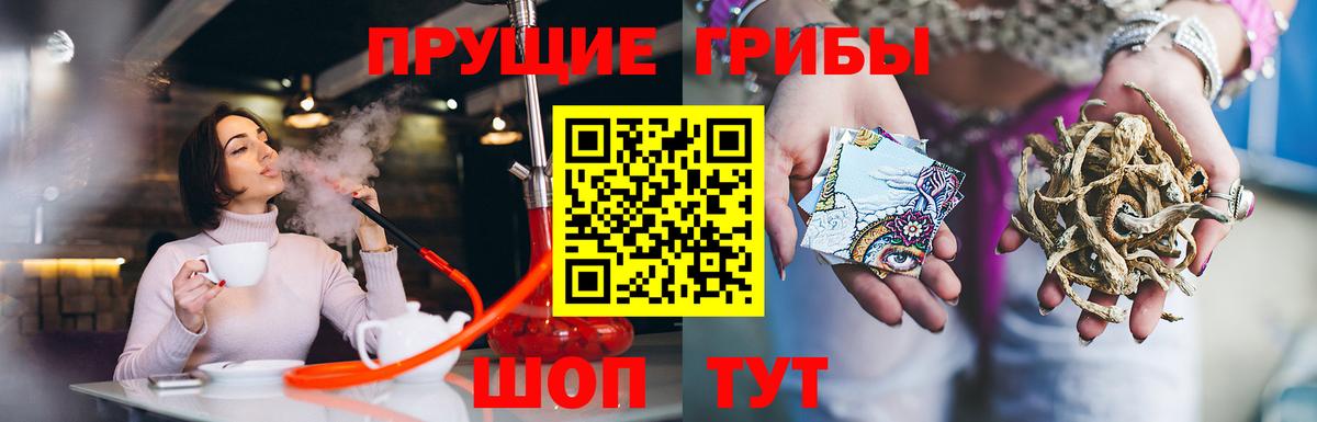 Псилоцибиновые грибы MAGIC MUSHROOMS  Вход с VPN  Ивантеевка 